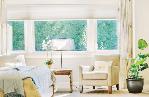 Windows - Pvc Windows X X C - RayJans