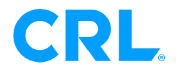 Home - New Project - RayJans